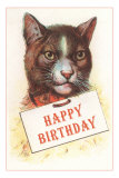 Happy Birthday, Cat