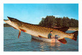 Giant Pike in Boat