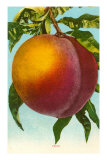 Buy Peach at AllPosters.com