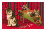 Birthday Greetings, Cats with Wheelbarrow