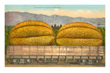 Buy Giant Cantaloupe in Rail Car at AllPosters.com