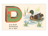 D is a Duck