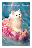 Happy Birthday Kitten