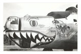 Buy Nose Art, Boise Bronc at AllPosters.com