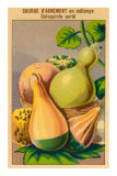 Buy French Gourd Selection Seed Packet at AllPosters.com