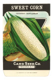 Buy Sweet Corn Seed Packet at AllPosters.com