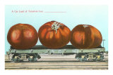Buy Giant Tomatoes on Flatbed at AllPosters.com