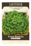 Lettuce Seed Packet