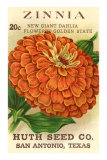 Zinnia Seed Packet