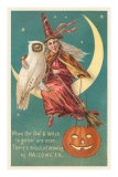 Witch and White Owl