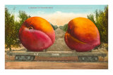 Buy Giant Peaches on Flatbed at AllPosters.com