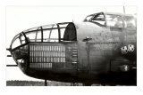 Buy Nose Art, Little Joe at AllPosters.com