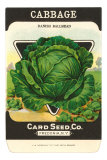 Buy Cabbage Seed Packet at AllPosters.com