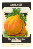 Buy Squash Seed Packet at AllPosters.com