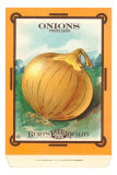 Buy Onion Seed Packet at AllPosters.com