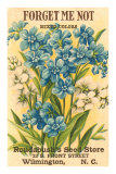 Forget Me Not Seed Packet