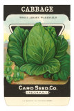 Buy Cabbage Seed Packet at AllPosters.com