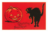 Greetings for Halloween, Black Cat and Jack O'Lantern