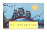 Three Owls in the Moonlight