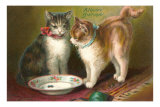 A Happy Birthday, Cats with Milk