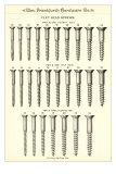 Flat Head Screws
