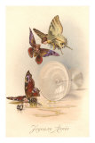 Joyeuse Annee, Butterfly Revelers