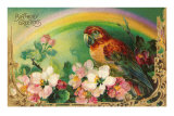 Birthday Greetings, Parrot and Roses