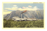 Sugar Mill, Hawaii