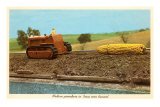Buy Giant Ear of Corn Towed by Tractor, Iowa at AllPosters.com