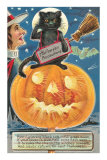 Black Cat with Halloween Precautions