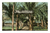 Waikiki Aquarium, Honolulu, Hawaii Premium Poster