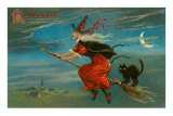Halloween, Witch and Cat on Broom