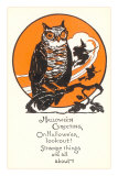 Winking Owl and Witch on Broom