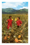 Buy Children in Pineapple Field, Hawaii at AllPosters.com