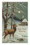 Happy New Year, Elk in Moonlight