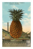 Buy Giant Pineapple on Flatbed, Honolulu, Hawaii at AllPosters.com