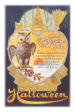 Halloween, Owl and Poem