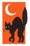 Black Cat and Moon