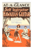 Hawaiian Guitar Instructions Premium Poster