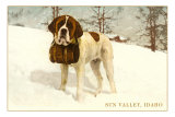 St. Bernard with Keg in Snow, Sun Valley, Idaho