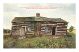 Lincoln Log Cabin Coles County, Illinois Premium Poster