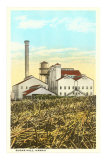 Buy Sugar Cane Processing Mill at AllPosters.com