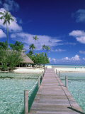 Walkway, Tahiti, French Polynesia, Oceania