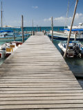 Fishing Boats Moored, Isla Mujeres, Quintana Roo, Mexico