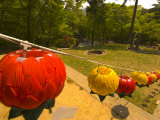 Lanterns, Haeinsa Temple Complex, Gayasan National Park, South Korea