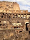 Colosseum Ruins, Rome, Italy