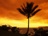 Buy Colorful Sunrise in a Tropical Paradise, Kauai Hawaii, USA at AllPosters.com
