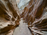 Buy Sculptured sandstone formations in Little Wild Horse Canyon, San Rafael Swell, Utah, USA at AllPosters.com