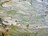 Flooded Laohu Zui Rice Terraces, Mengpin Village, Yuanyang County, Yunnan, China