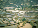 Buy Flooded Rice Terraces near Nano Village, China at AllPosters.com